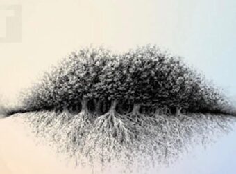 3 πράγματα εμφανίζονται σε αυτή την εικόνα