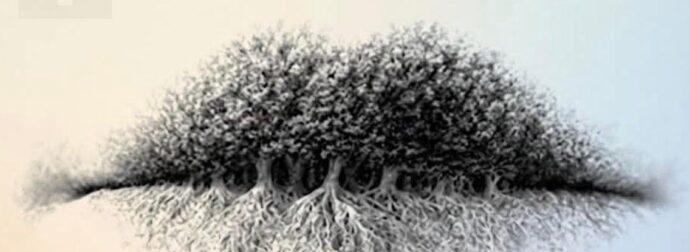 3 πράγματα εμφανίζονται σε αυτή την εικόνα