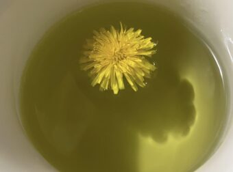 To ρόφημα που πίνουν τα μοντέλα για επίπεδη κοιλιά πριν την πασαρέλα – Με 2 υλικά, καθαρίζει το έντερο