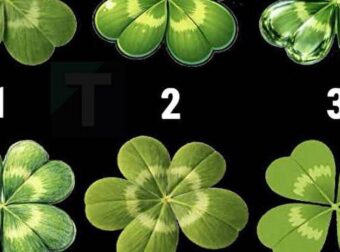 Αυτό το απλό παζλ με τετράφυλλα αποκαλύπτει περισσότερα για εσάς από ό,τι νομίζετε