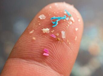 Γιατρός καταγράφει τα 9 τρόφιμα στο σουπερμάρκετ που περιέχουν τα περισσότερα μικροπλαστικά