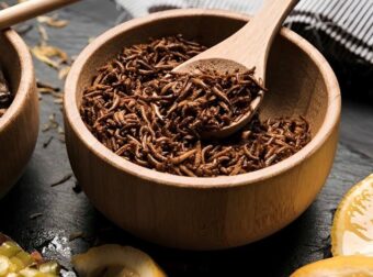 Έντομα στο πιάτο μας: Μπαίνει και η Ελλάδα στη νέα διατροφική αγορά