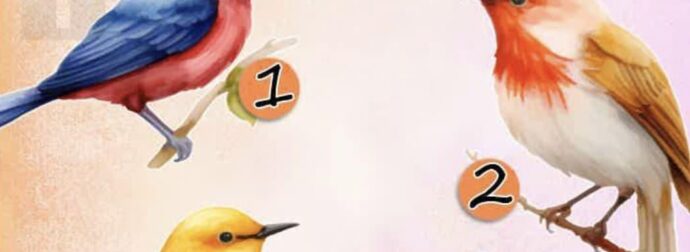 Διάλεξε τον κοκκινολαίμη σου – Η επιλογή σου αποκαλύπτει ποιος περπατάει δίπλα σου