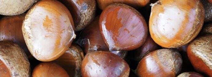 Πώς βγήκε η φράση «δεν χαρίζει κάστανα»