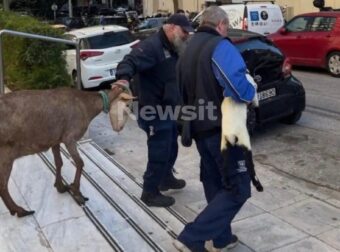 Δεν θα πιστεύετε ποιος είναι ο άντρας που το είχε παράνομο μαντρί στους Αμπελόκήπους