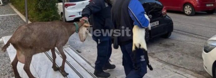Δεν θα πιστεύετε ποιος είναι ο άντρας που το είχε παράνομο μαντρί στους Αμπελόκήπους