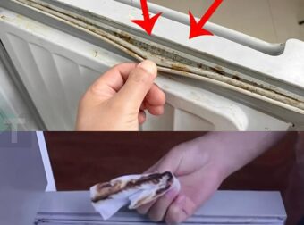 Πώς να καθαρίσετε γρήγορα και αποτελεσματικά τις μουχλιασμένες φλάντζες του ψυγείου σε μόλις 5 λεπτά