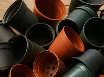 Σταματήστε να πετάτε τις παλιές πλαστικές γλάστρες. 10 καταπληκτικοί τρόποι να τις χρησιμοποιήσετε