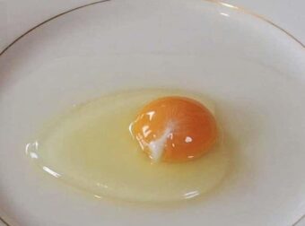 Τι είναι αυτό το άσπρο σε ένα αυγό