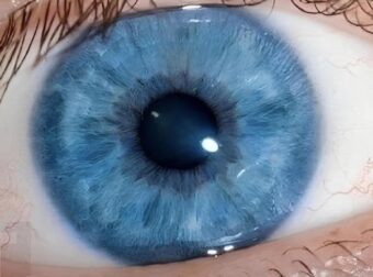 Όλοι οι γαλανομάτηδες έχουν αυτό το ένα κοινό χαρακτηριστικό