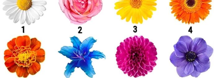 Διαλέξτε λουλούδι και αυτό θα αποκαλύψει το πιο σημαντικό χαρακτηριστικό του χαρακτήρα σας