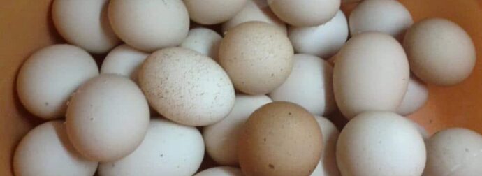 Πόσες μέρες διατηρούνται τα βραστά αυγά στο ψυγείο