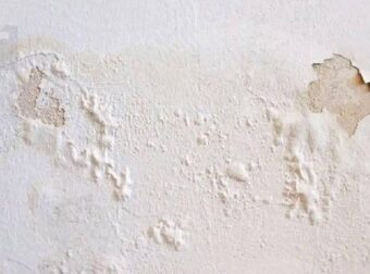 Πώς να αντιμετωπίσετε μουχλιασμένους, φουσκωμένους ή ξεφλουδισμένους τοίχους χωρίς να προσλάβετε επαγγελματία