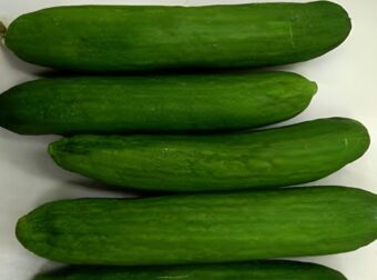 Αγγούρια: Το αντικείμενο που αν το βάλεις δίπλα τους, τα διατηρεί φρέσκα για περισσότερες ημέρες