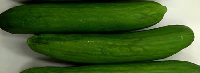 Αγγούρια: Το αντικείμενο που αν το βάλεις δίπλα τους, τα διατηρεί φρέσκα για περισσότερες ημέρες