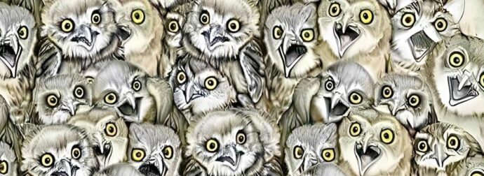 Μόνο άτομα με όραση 20/20 μπορούν να βρουν την γάτα στην εικόνα