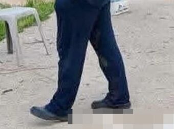 Βάβδος Χαλκιδικής: «Βρίσκαμε το ένα πτώμα μετά το άλλο» – Μαζική δηλητηρίαση αδέσποτων, τουλάχιστον 21 νεκρά σκυλιά