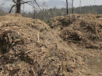 Καθαρισμός οικοπέδων 2026: Η μεγάλη αλλαγή στις φετινές δηλώσεις – Τα πρόστιμα