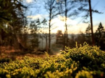 Πήγε στην τουαλέτα & εξαφανίστηκε για 57 χρόνια: Σήμερα τον βρήκαν θαμμένο στο χωράφι, «πάγωσε» η οικογένειά του