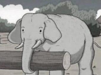 Μπορείτε να βρείτε το κρυμμένο άλογο; Δοκιμάστε αυτή την δύσκολη πρόκληση μέσα σε 7 δευτερόλεπτα