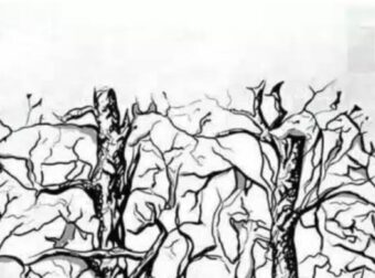 Το πρώτο ζώο που βλέπετε αποκαλύπτει κάτι καταπληκτικό για την προσωπικότητα σας