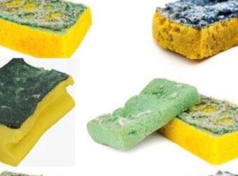 Μην πετάς τα παλιά σου σφουγγάρια χρησιμοποίησέ τα στον κήπο