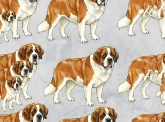 Μπορείτε να βρείτε πόσοι σκύλοι υπάρχουν σε αυτή την φωτογραφία;