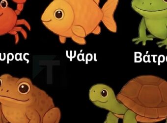 Τι μπορεί να αποκαλύψει το παζλ με το «διαφορετικό» ζώο