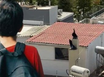 Περιστέρι: Το ξέσπασμα του 8χρονου – «Δεν ξέρετε πώς ζούμε»