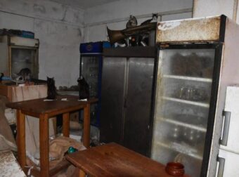 Δονούσα: Νέες καταγγελίες σοκ για τις γάτες της υπόθεσης-φρίκης