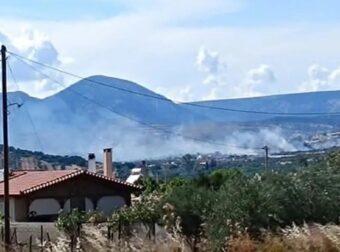 Φωτιά στα Καλύβια Θορικού – Ενισχύονται οι πυροσβεστικές δυνάμεις