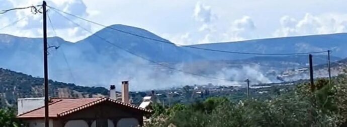Φωτιά στα Καλύβια Θορικού – Ενισχύονται οι πυροσβεστικές δυνάμεις