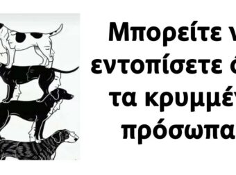 Μπορείτε να εντοπίσετε όλα τα κρυμμένα πρόσωπα;