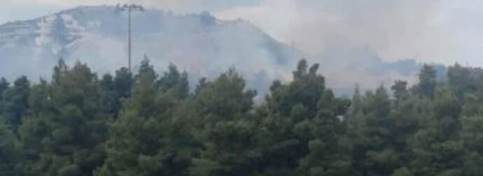 Φωτιά τώρα στη Φιλοθέη Αττικής, επιχειρούν 47 πυροσβέστες με 10 οχήματα – Σηκώθηκαν δύο ελικόπτερα