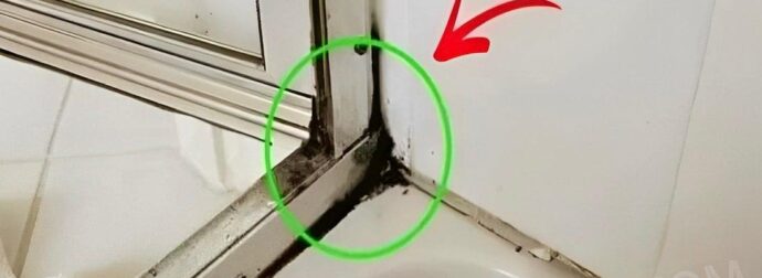 Ο πιο γρήγορος τρόπος για να απαλλαγείτε από τη μούχλα στην σιλικόνη του ντους
