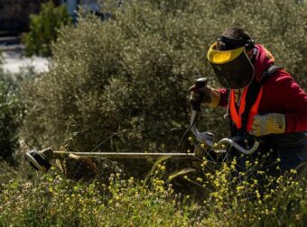 Καθαρισμός οικοπέδων: «Φρένο» υπουργείου στην παράταση – Στα ύψη τα πρόστιμα για τους ξεχασιάρηδες