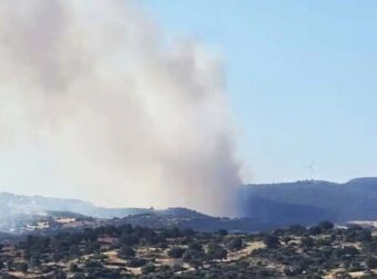 Μεγάλη φωτιά σε δάσος στην Εύβοια: Εκκενώνονται Μεσοχώρια και Ραπταίοι – Επιχειρούν 120 πυροσβέστες και 14 εναέρια