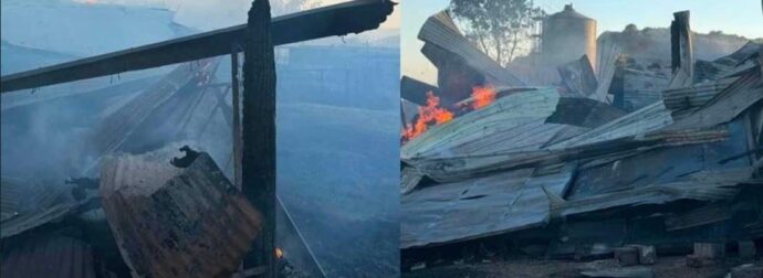 Στις φλόγες κτηνοτροφική μονάδα – Κάηκαν δεκάδες ζώα