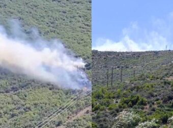 Φωτιά στον Άγιο Βασίλειο Βοιωτίας και μήνυμα από το 112 – Σηκώθηκαν εναέρια μέσα