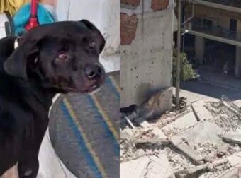 Θρήνος για τον Δία που έχασε τη ζωή του στα Πετράλωνα