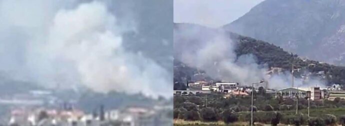 Φωτιά στα Σπάτα κοντά στο κτήμα Νάσιουτζικ