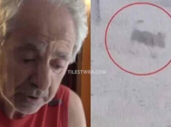 Άγρια επίθεση σκύλου σε 66χρονο στα Βόρεια Προάστια – Τον τραυμάτισε σοβαρά, νεκρό το κατοικίδιο του – «Η ζωή μου όλη ο Μαξ» λέει ο ίδιος
