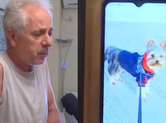 Συγκινεί ο 66χρονος στα Βριλήσσια: «Τι να την κάνω την σύγγνωμη; Εμένα έφυγε το ζωάκι μου; Έφυγε» – Τι δηλώνει η ιδιοκτήτρια του άλλου σκύλου