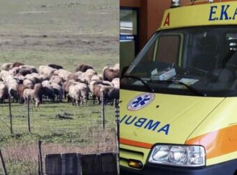 Θλίψη: Τον έβαλαν να θανατώσει τα ζώα του και πέθανε από την στεναχώρια του