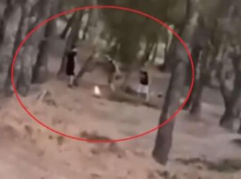 Άνω Βριλήσσια: «Challenge» ανηλίκων μέσα σε δάσος – Βάζουν φωτιά και μετά προσπαθούν να τη σβήσουν