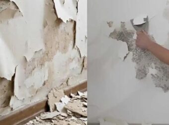 Πώς να αντιμετωπίσετε μουχλιασμένους, φουσκωμένους ή ξεφλουδισμένους τοίχους χωρίς να προσλάβετε επαγγελματία